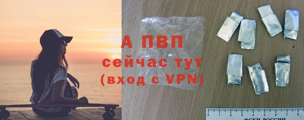 PSILOCYBIN Белоозёрский