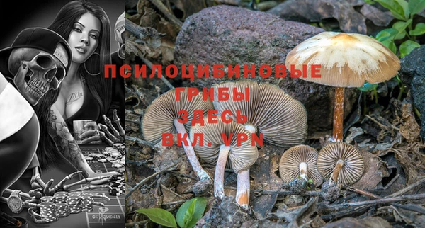 первитин Белокуриха