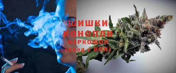 PSILOCYBIN Белоозёрский