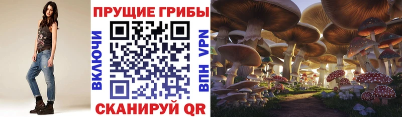 Галлюциногенные грибы прущие грибы Демидов